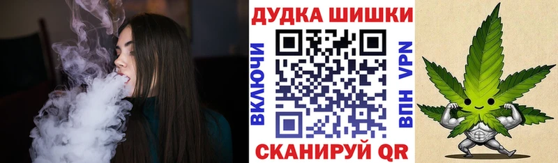Где купить наркотики Злынка Амфетамин  А ПВП  Меф мяу мяу  Гашиш  Канабис  Кокаин 