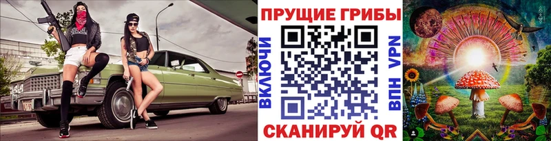 Галлюциногенные грибы Psilocybine cubensis  дарнет шоп  Злынка 